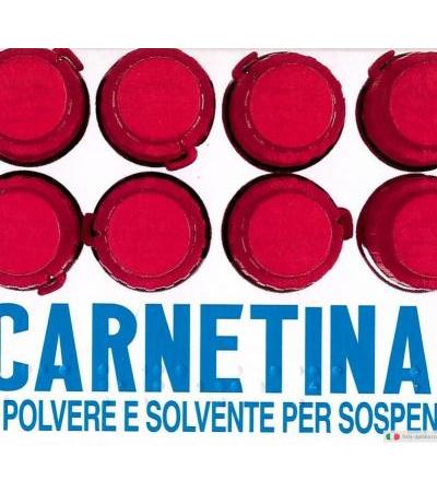 Co-carnetina B12 10 Flaconi 10 ml