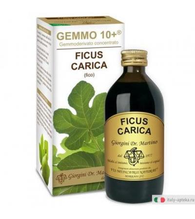 Dr. Giorgini Fico e Gemmo 10+ liquido analcolico 500ml