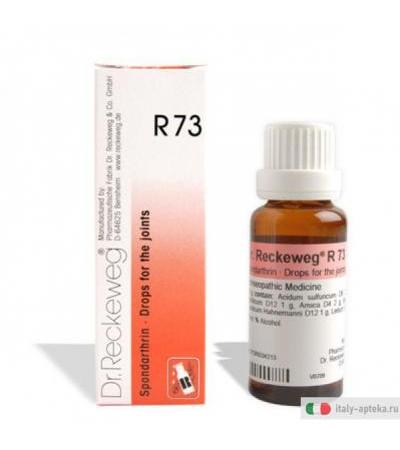 Dr. Reckeweg R73 gocce orali medicinale omeopatico 22ml