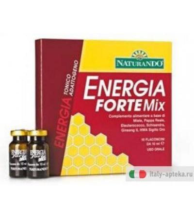 Energia Forte Mix tonico 10 flaconcini