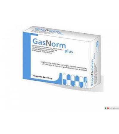GasNorm Plus 36 capsule