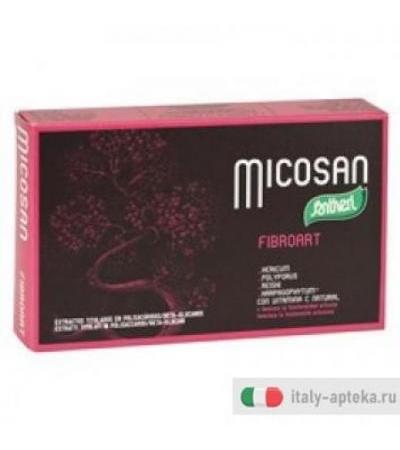 Micosan Fibroart funzionalità articolare 40 capsule