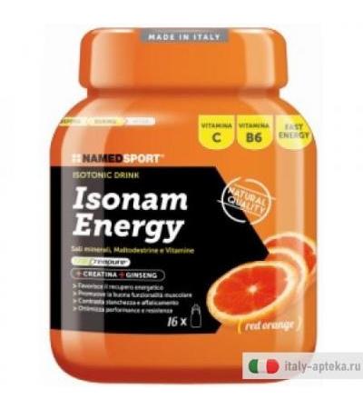 Named Sport Isonam Energy utile per gli sportivi gusto Arancia 480g