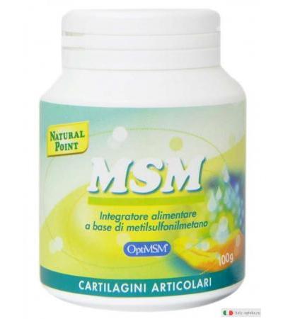 Natural Point MSM Polvere utile per le cartilagini 100g