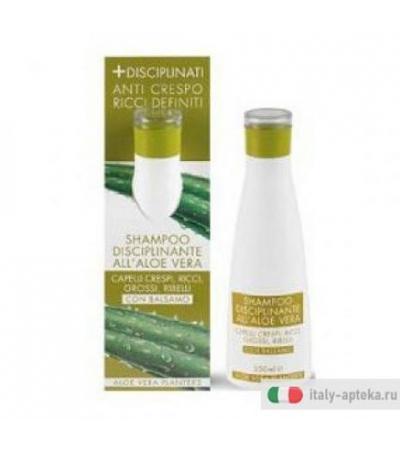 Planter's Aloe Shampoo Disciplinante 200ml