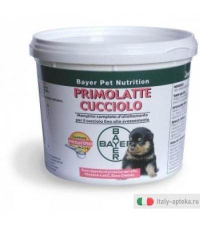 Primolatte cucciolo