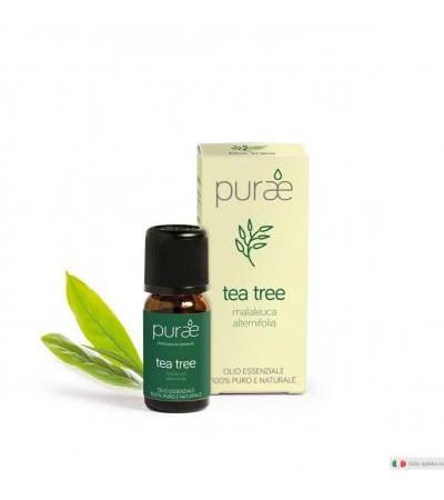 Purae Tea Tree Olio essenziale 100% puro e naturale 10ml