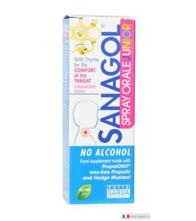 Sanagol Spray orale Junior per la gola gusto fragola 20 ml