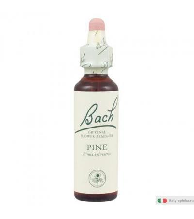 Schwabe Pharma Fiori di Bach n.24 Pine 10ml Medicinale Omeopatico