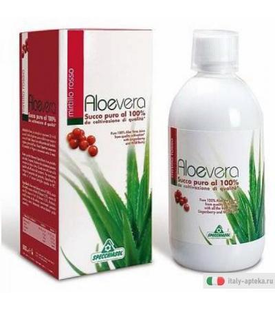 Specchiasol Succo Aloe Vera al 100% Mirtillo Rosso depurativo 1000ml