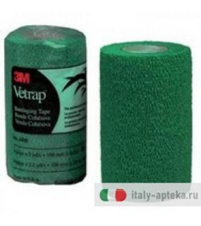 Vetrap fascia autoaderente elastica 10cm x 2,30m colore verde