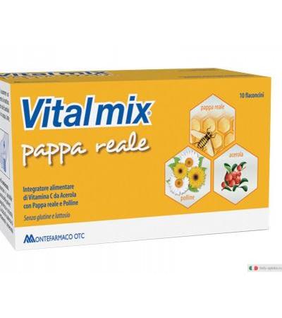 Vital mix Pappa Reale Vitamina C 10 flaconcini