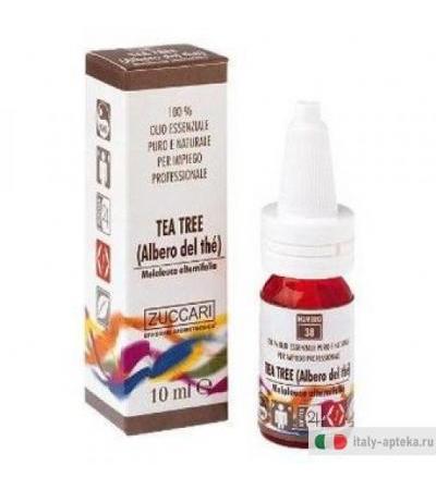 Zuccari olio essenziale Tea tree (Albero del thè)